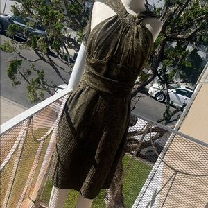 Stunning Metallic Backless Dress